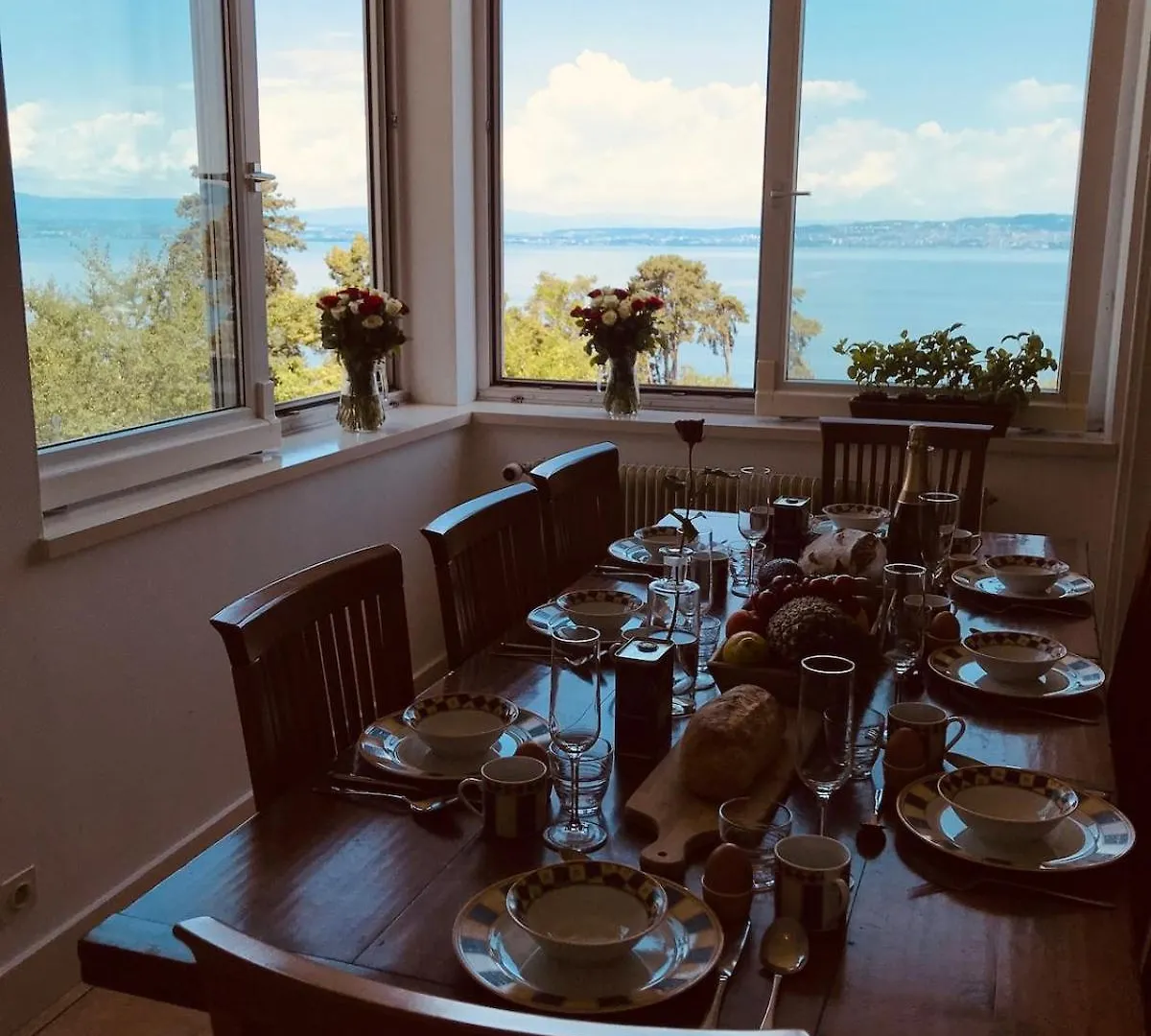 Villa Heart Of Evian Swimming Pool فرنسا