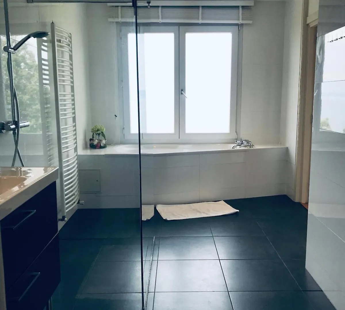 Villa Heart Of Evian Swimming Pool 0*, إفيان ليه با