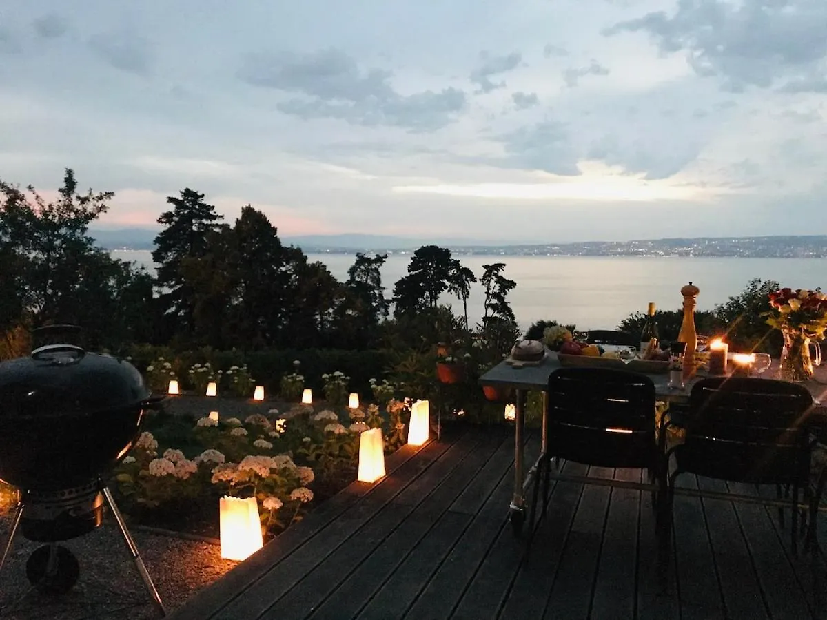 Villa Heart Of Evian Swimming Pool إفيان ليه با